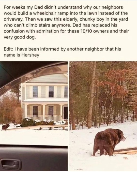hershey dog.jpg