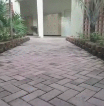 HF5XmN8.gif