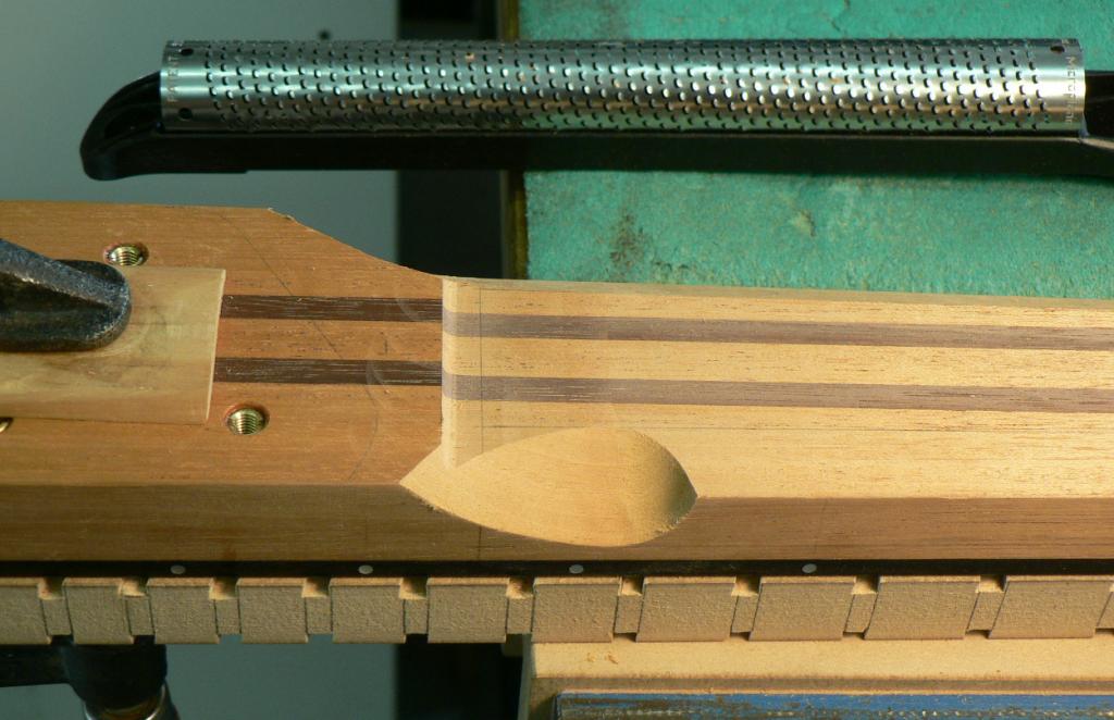 HFN081.jpg
