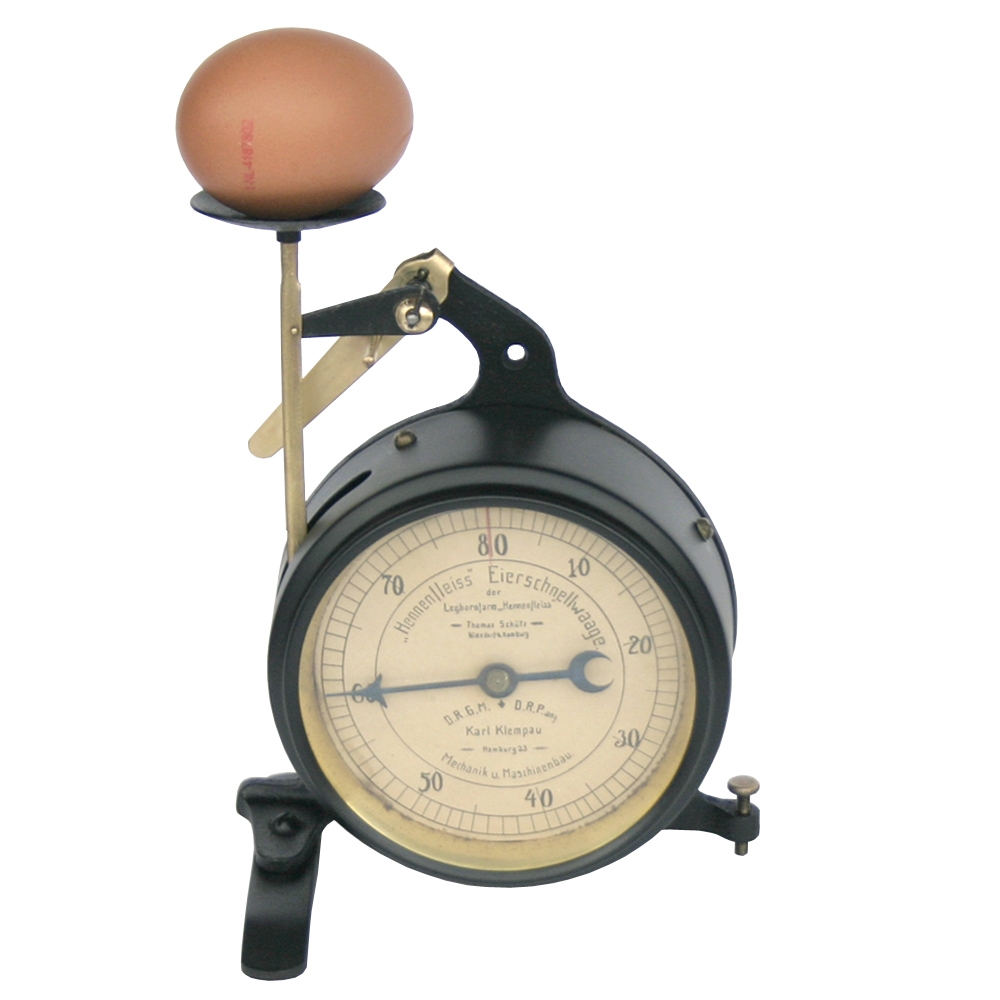 hg_02074_b_egg-scale.jpg