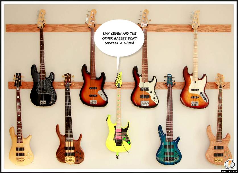 Hidden bass.jpg