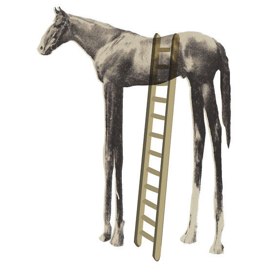 high%2Bhorse.jpg