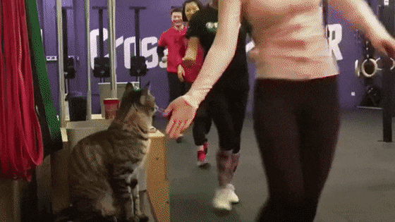 high-five-15.gif