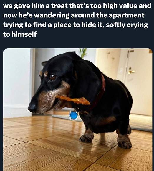 high value treat.jpg