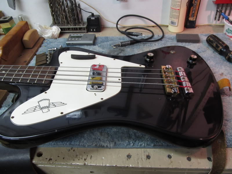 HipsotsamplesBadbird005.jpg