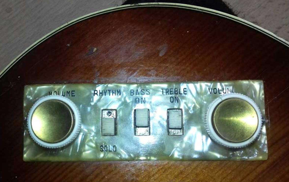 HOFNER KELLER T-21 CONTROL - Copy.png