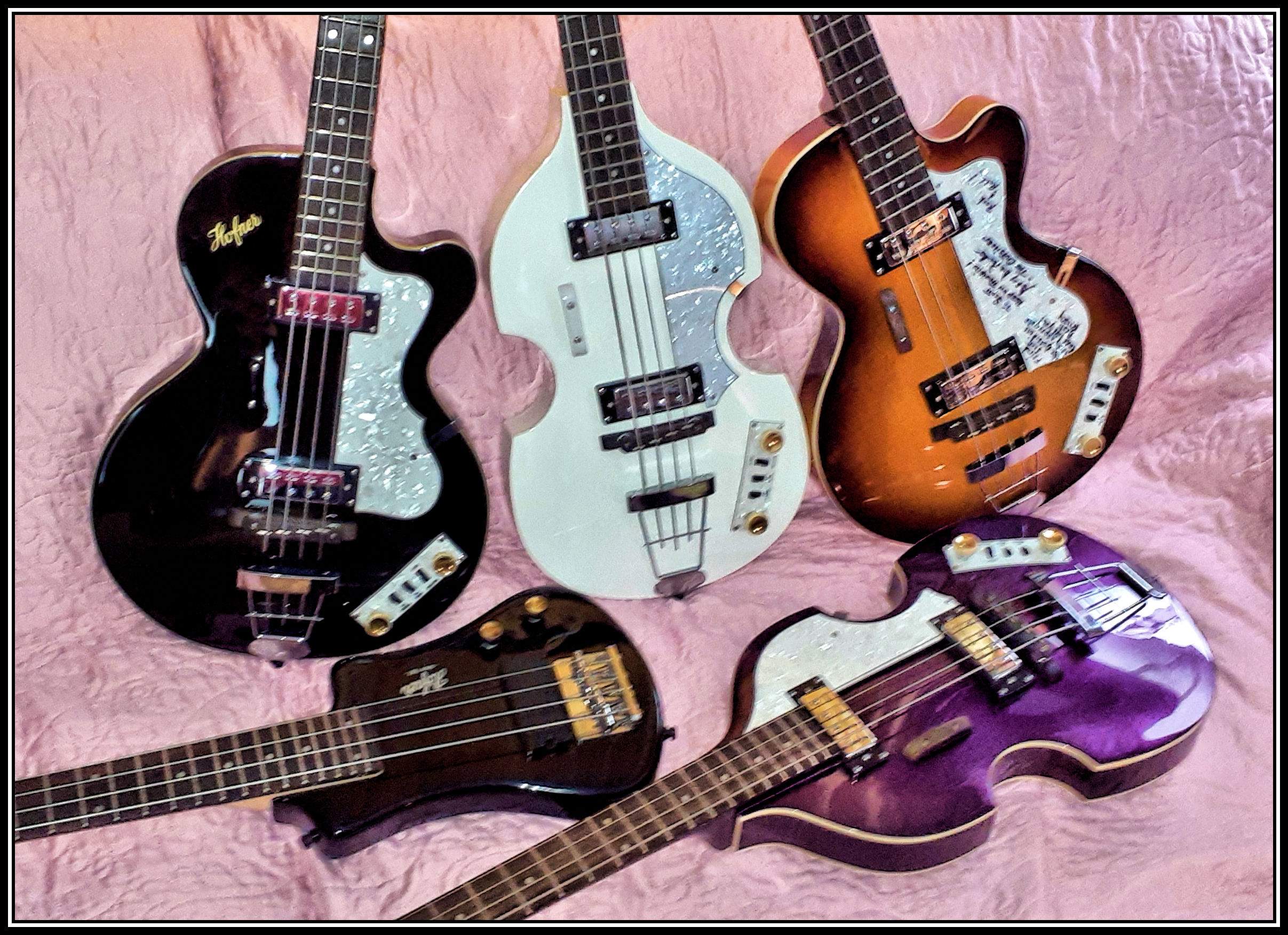 hofner5!7.jpg