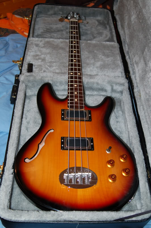 hollowbody004.jpg