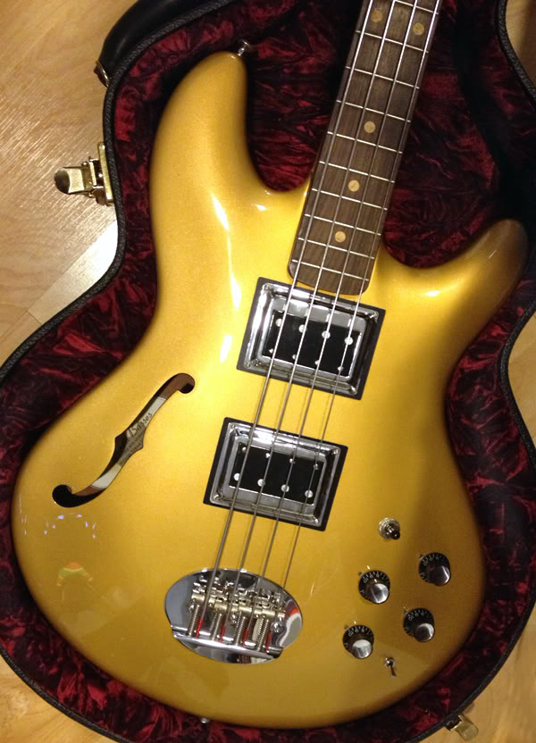 hollowbodypic2smaller600pixels.jpg