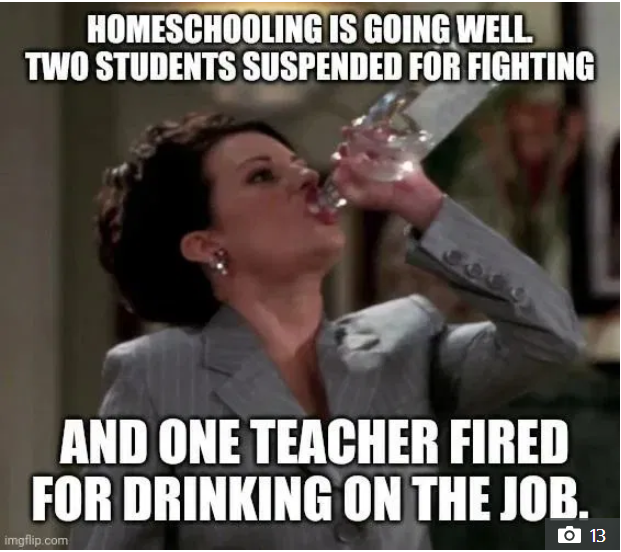 Homeschooling1.PNG