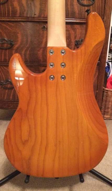 Honey Burst Back.JPG