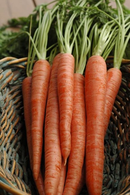 Honey-Roasted-Carrots.jpg