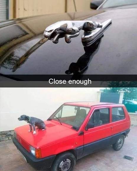 hood ornament.jpg