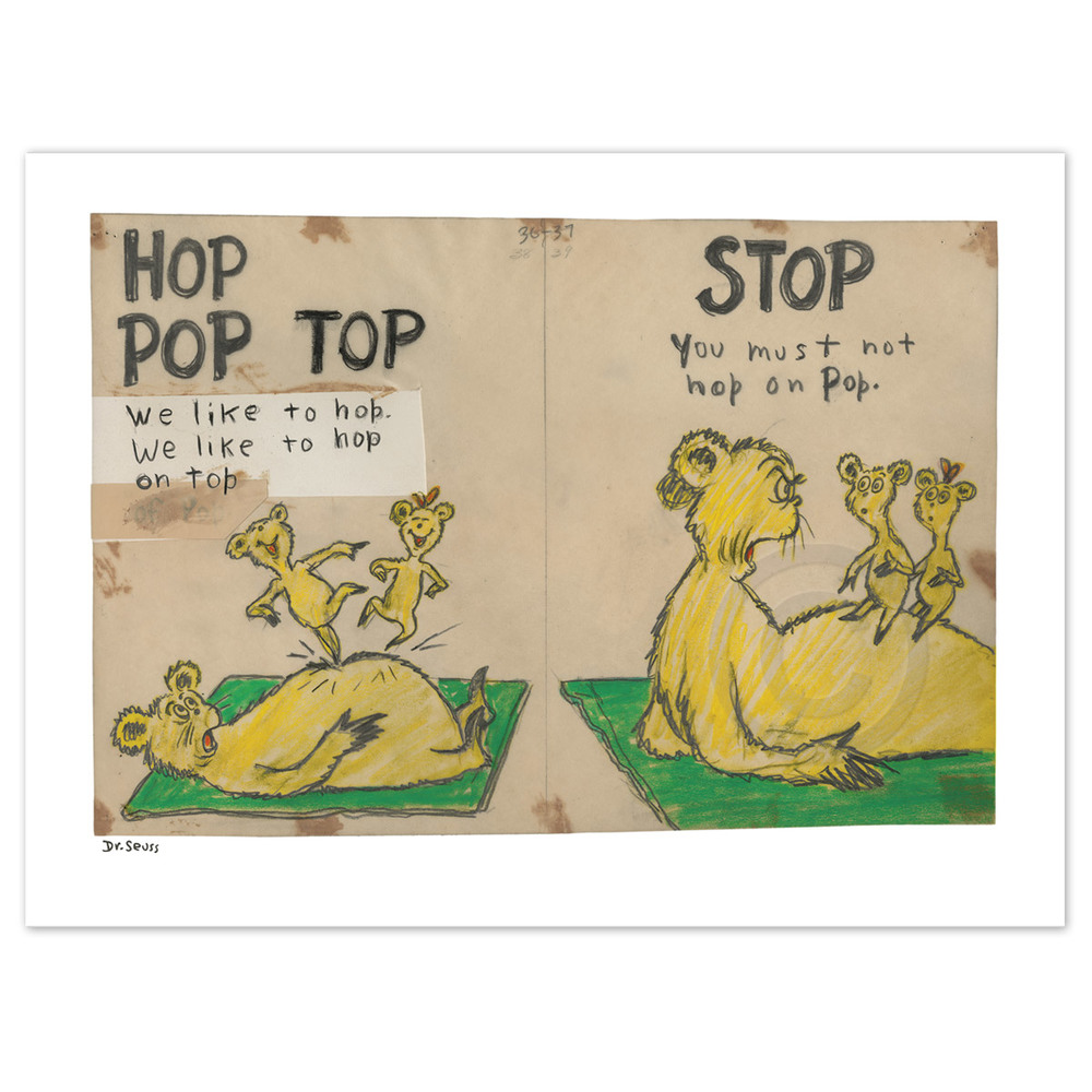 hoppoptop1.jpg