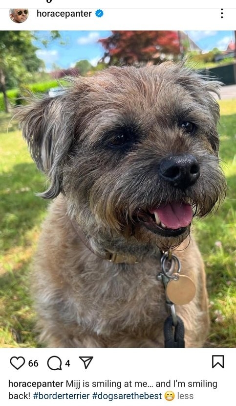 horace dog.jpg