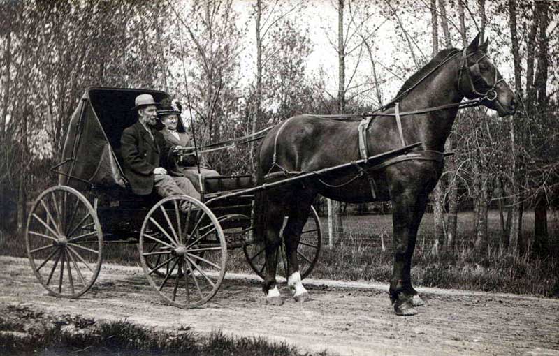 horse-buggy.jpg