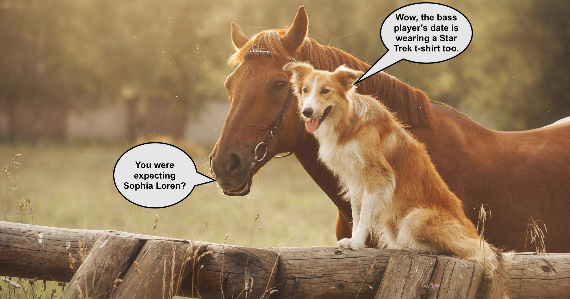horse-dog-Date.jpg