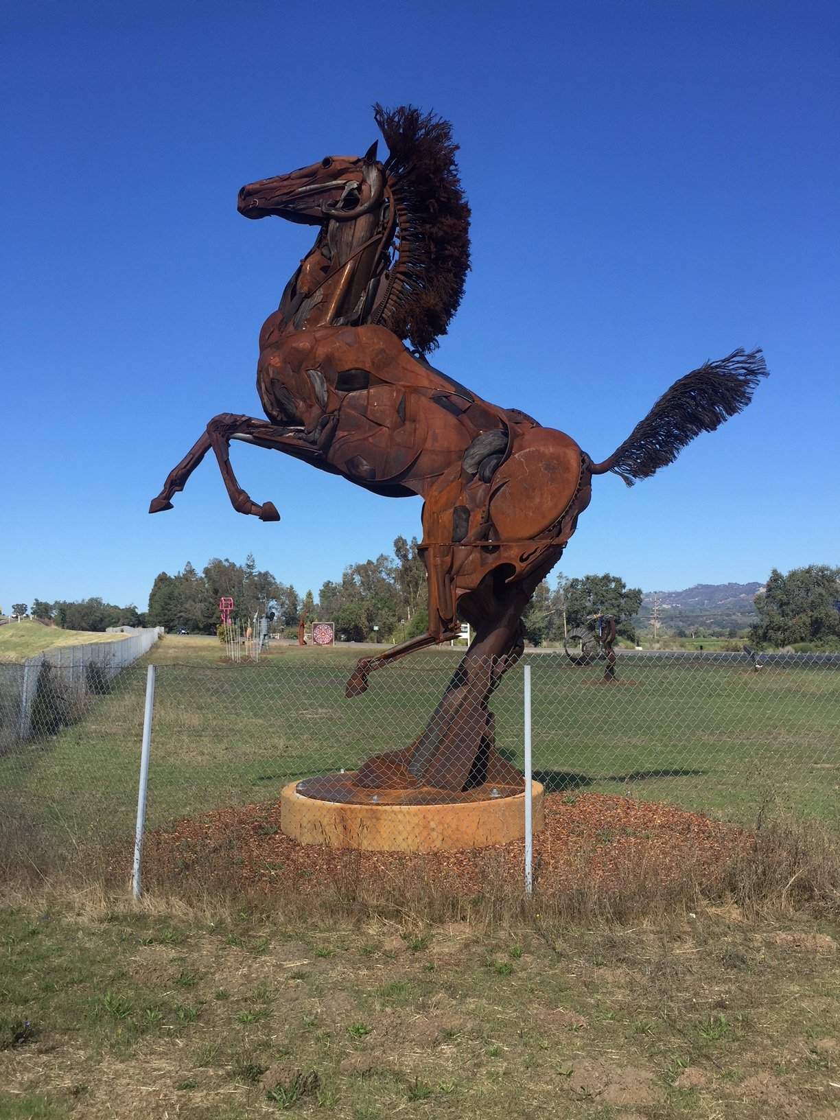 Horse.JPG