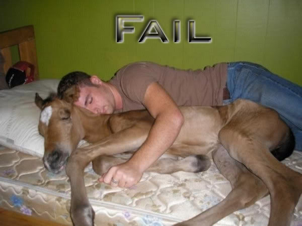 horsefail.jpg