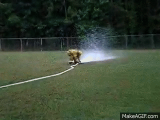hose.gif