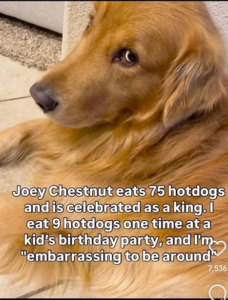 hot dog.jpg