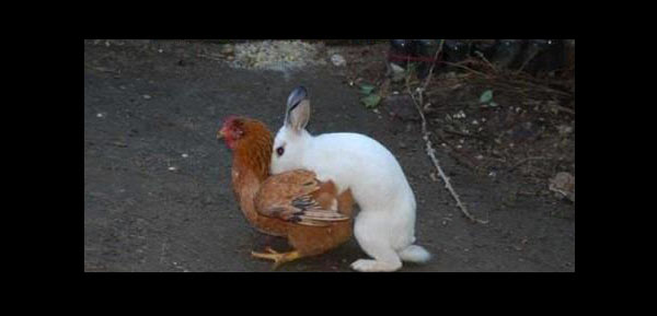 how-easter-eggs-01.jpg