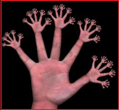 how-many-fingers-new.png