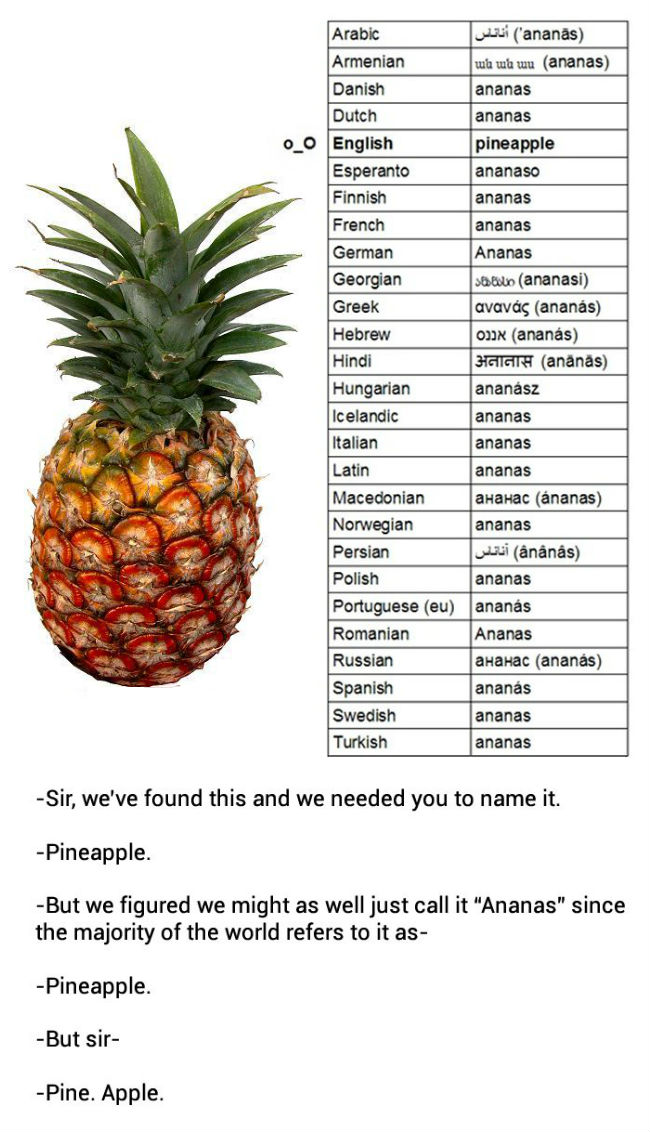 how-the-pineapple-got-its-name.jpg
