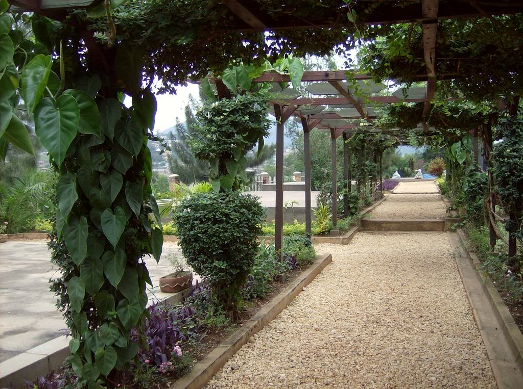 HPIM0620.jpg