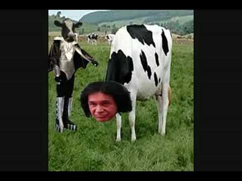 hqdefault.jpg