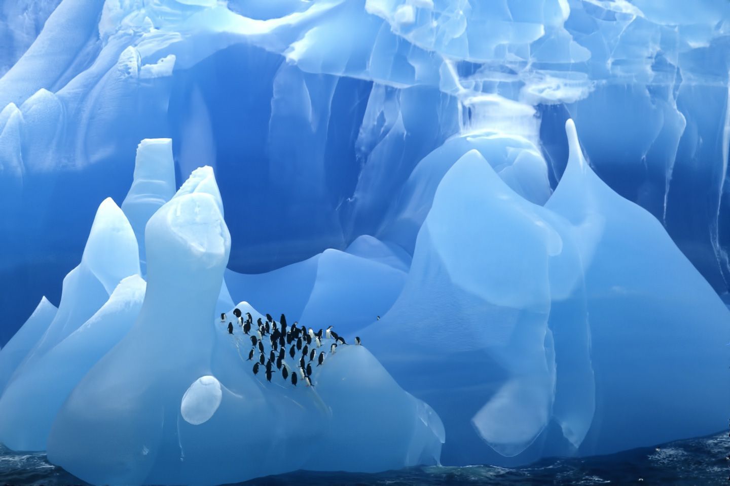 http%3A%2F%2Fa.amz.mshcdn.com%2Fwp-content%2Fuploads%2F2016%2F04%2FPenguins25.jpg