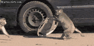 hubcap_zps80d75ce9.gif