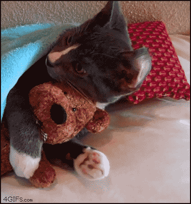 hug.gif