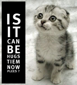hugstimefy6.jpg