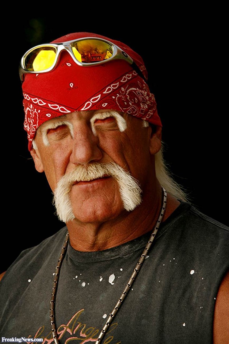 Hulk-Hogan--35005.jpg