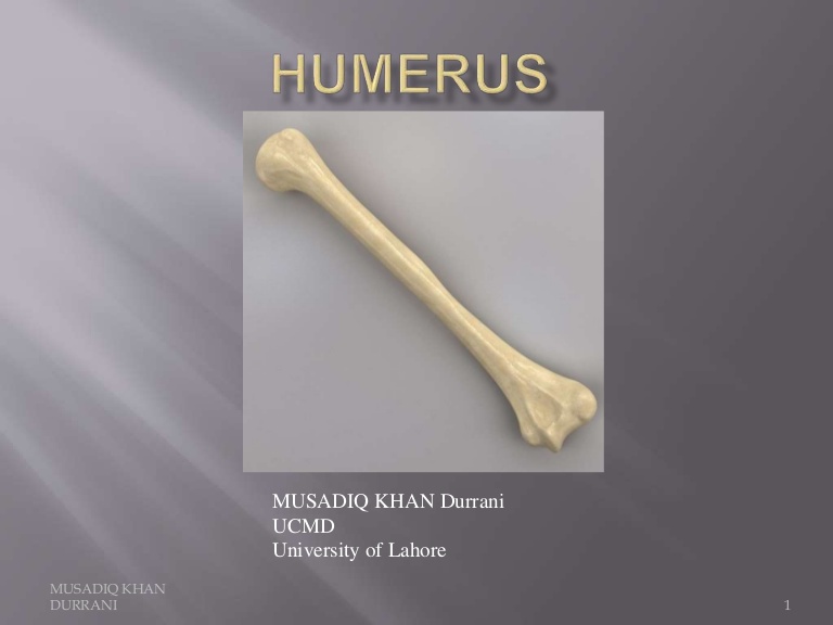 humerus-150111065718-conversion-gate01-thumbnail-4.jpg