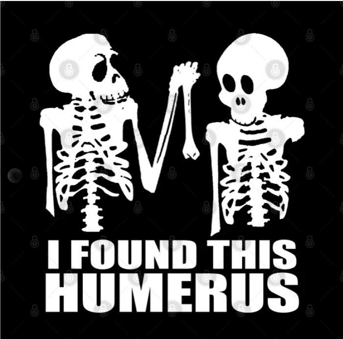 Humerus.jpg