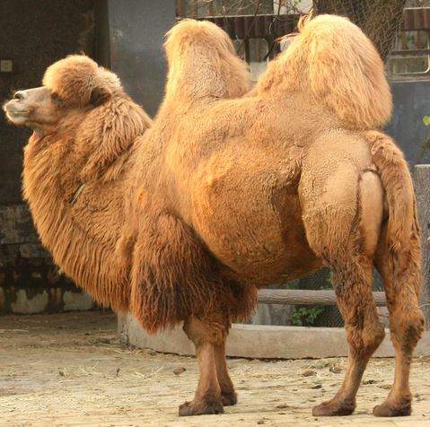 Hump Day.JPG