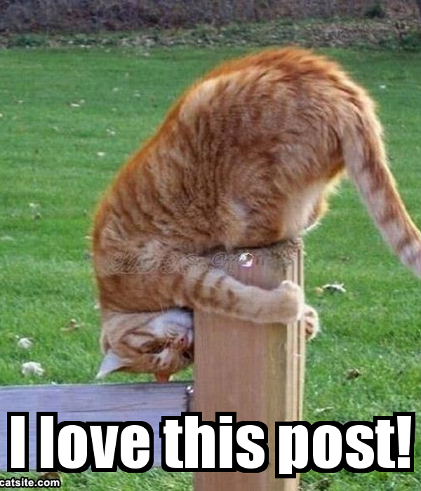 -i-love-this-post.png
