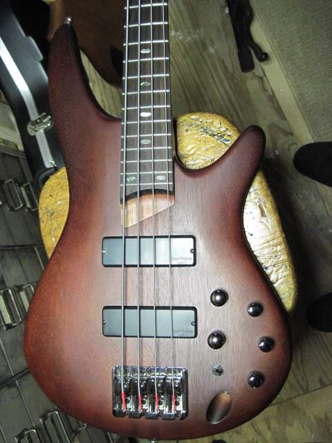 ibanez 001.JPG