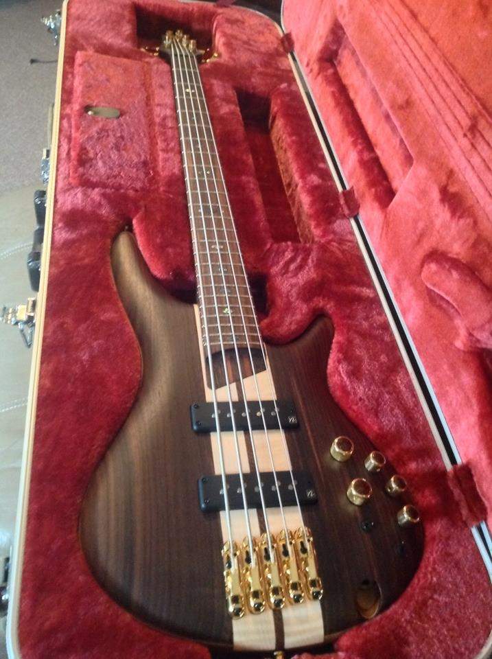 Ibanez 1805.JPG
