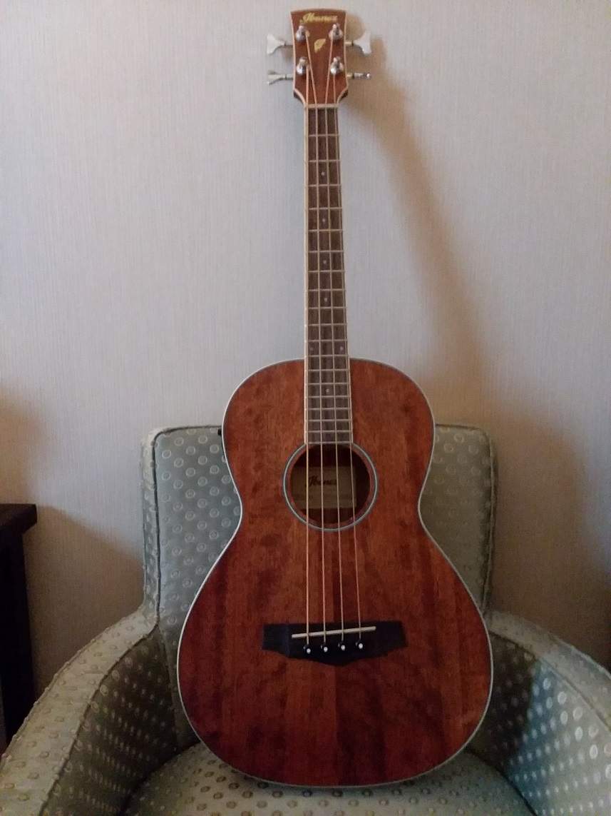 Ibanez Acoustic.jpg