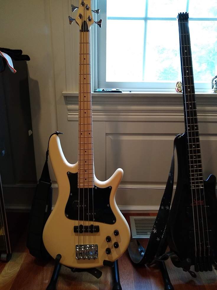 ibanez black knobss.jpg