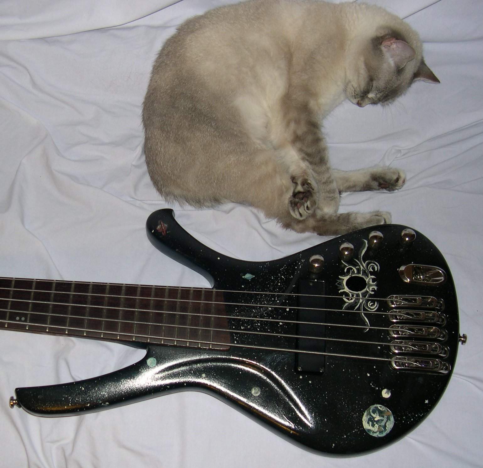 Ibanez EDA905 Space1.jpg