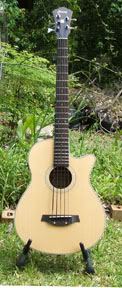 Ibanez.jpg