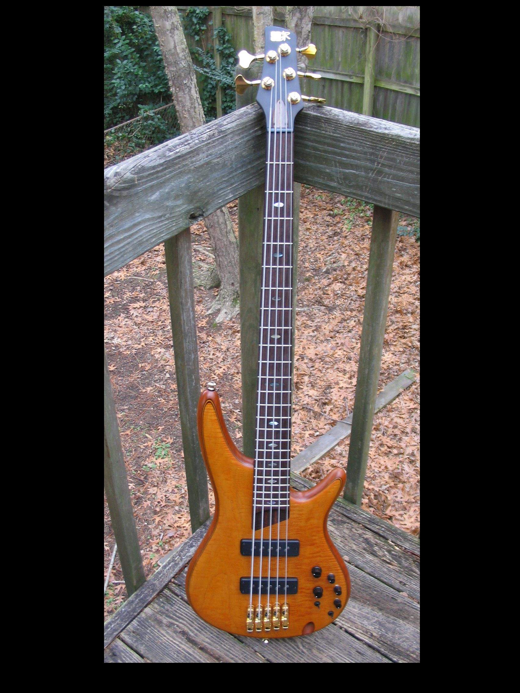 Ibanez.jpg