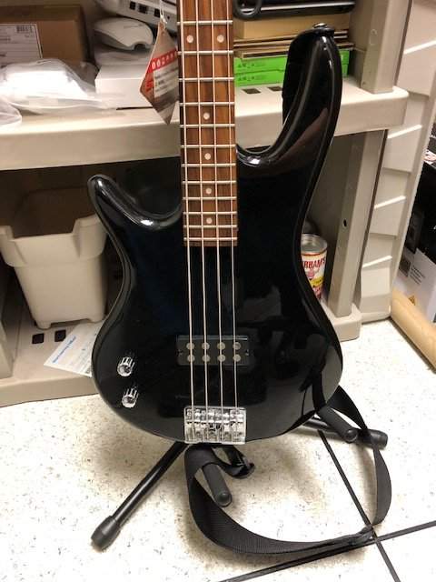 ibanez mm.jpg