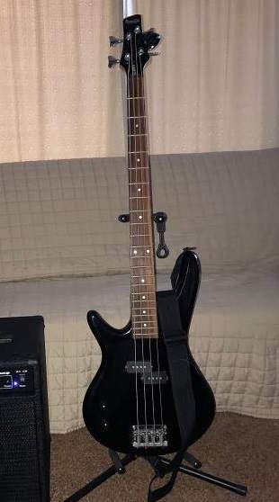ibanez p.jpg
