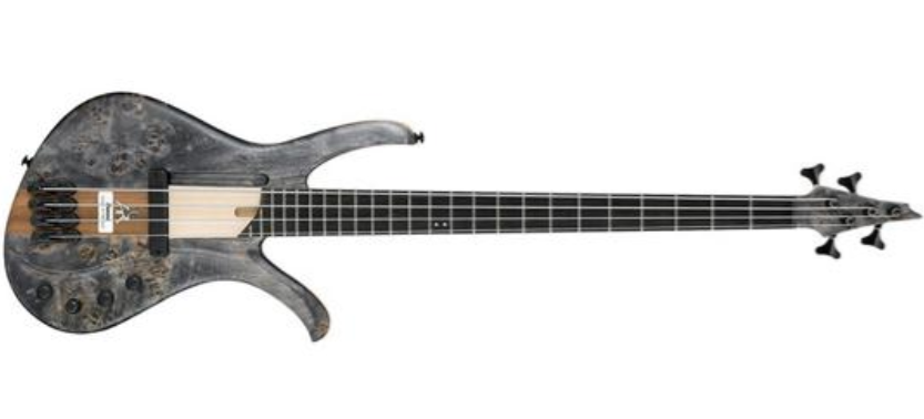 ibanez.PNG