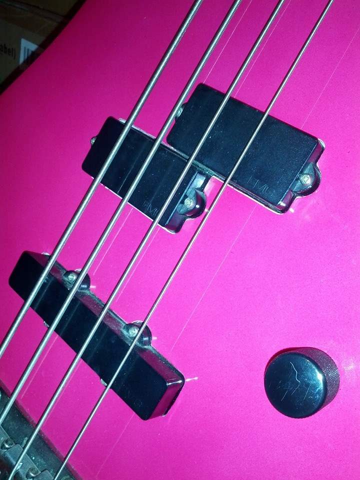 Ibanez pups.jpg